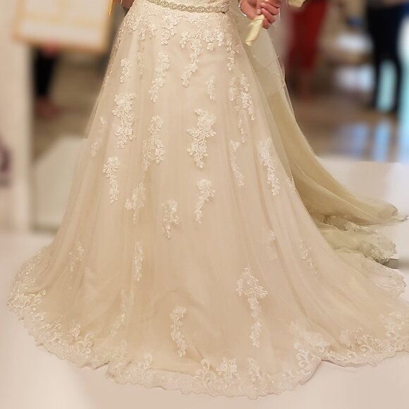 Stella York wedding gown - brand new, never worn - Picture 8 of 11